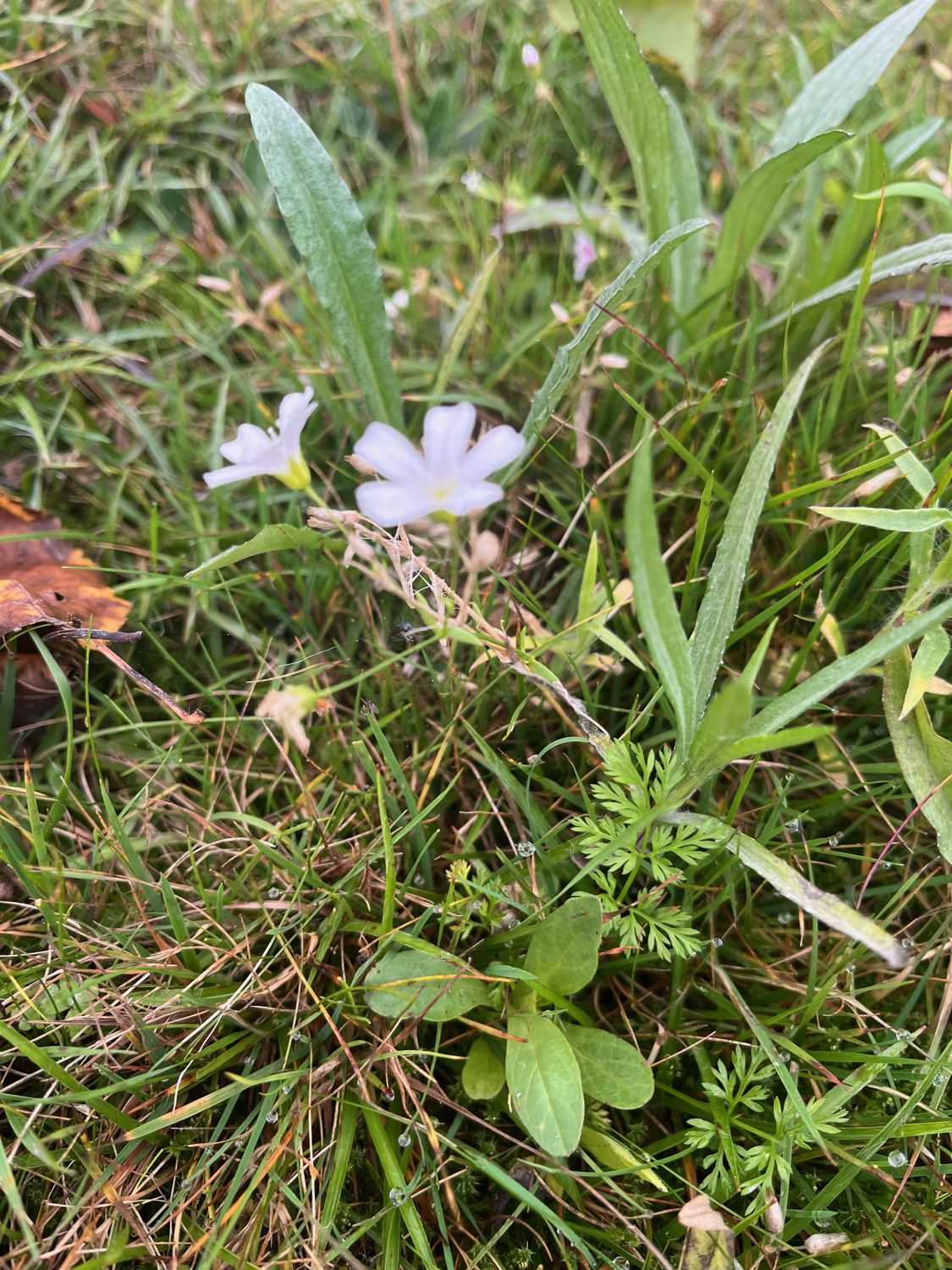 unbekannt, 10.10.2025